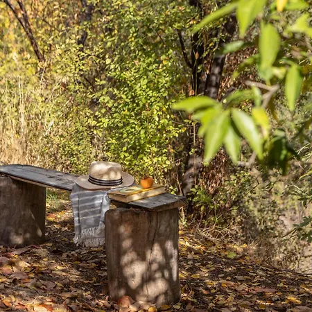 Hébergement de vacances Maison Du Mont Kalopanagiotis