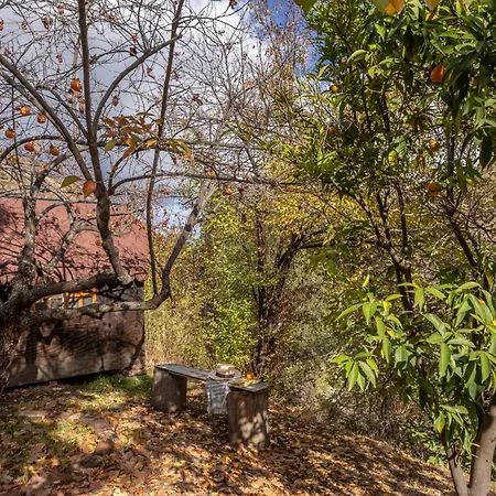 Maison Du Mont Hébergement de vacances Kalopanagiotis